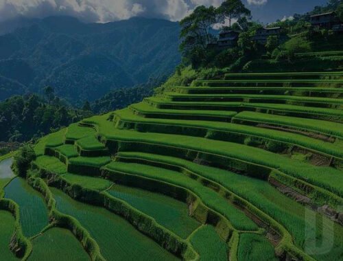 Ziro Valley
